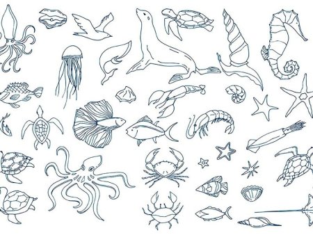 Раскраска морские обитатели