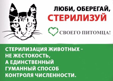 Стерилизация животных