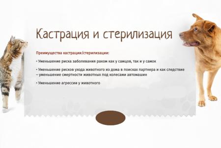 Кастрация и стерилизация домашних животных