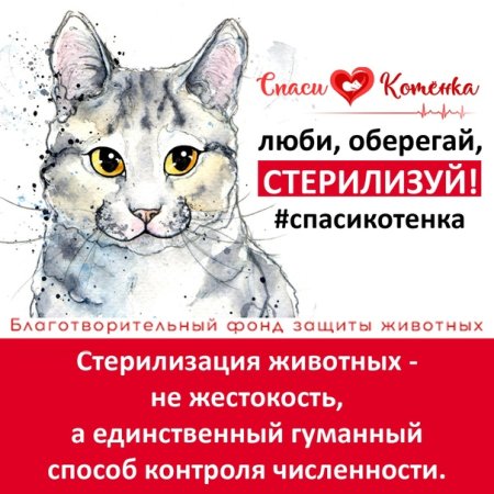 Баннер стерилизуйте животных