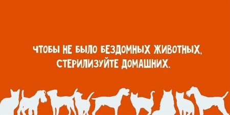 Стерилизация животных