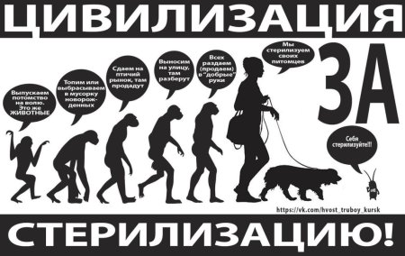 Стерилизуйте животных