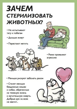 Стерилизуйте животных
