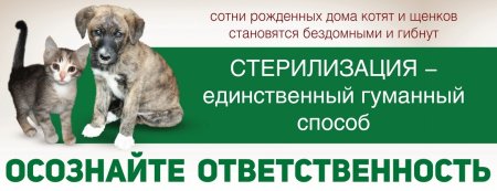 Стерилизация животных