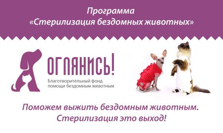 Стерилизация кастрация бездомных животных