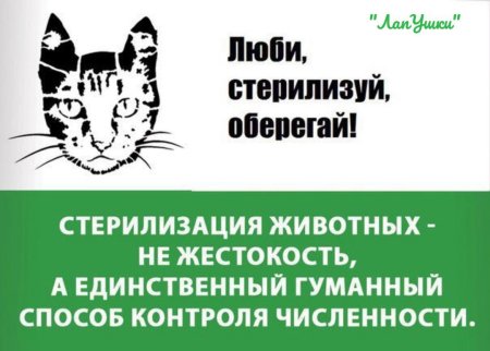 Стерилизуйте животных
