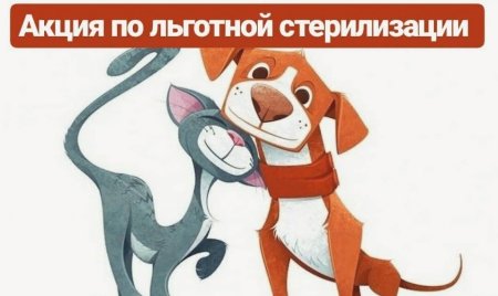 Льготная стерилизация и кастрация