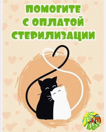 Помогите оплатить стерилизаци