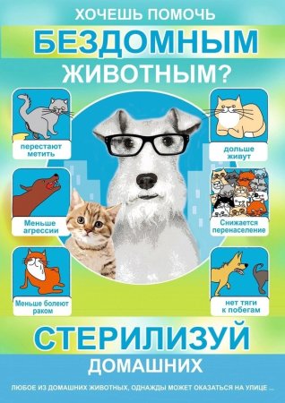 Стерилизация домашних животных