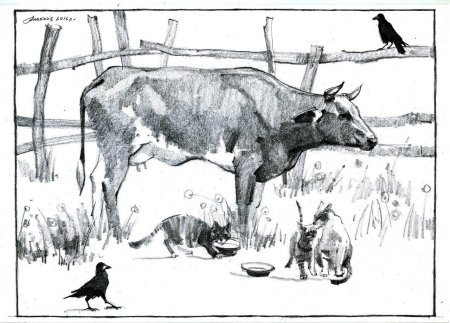 Корова зарисовка