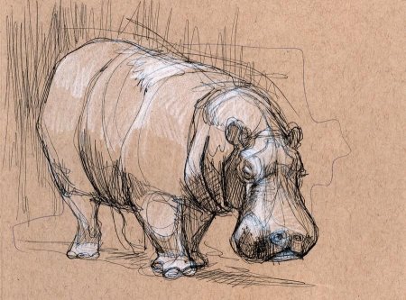 Зарисовки животных