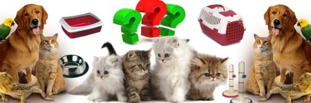 Товары для животных