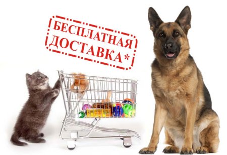 Фон с домашними животными
