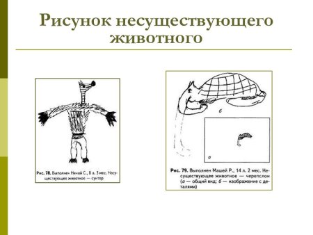 Проективный тест рисунок несуществующего животного м Дукаревич
