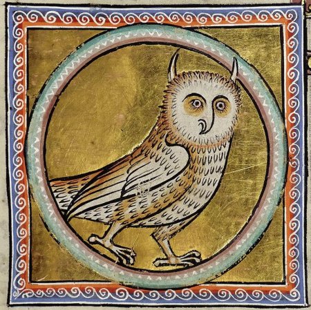 Абердинский Бестиарий Сова