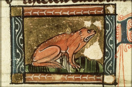 Лягушка Бестиарий