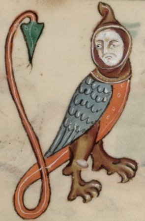Средневековый Бестиарий Сова