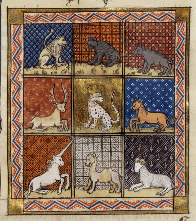 Бестиарий Марко поло