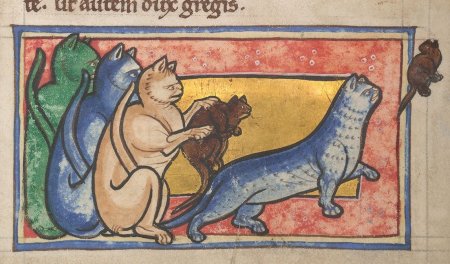 Средневековый Бестиарий кот