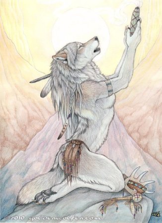 Кот сфинкс тату