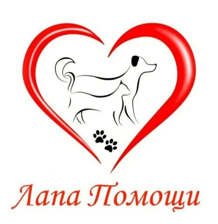 Благотворительность для животных