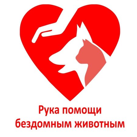 Благотворительность бездомным животным