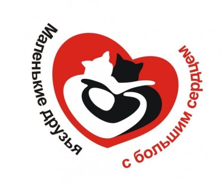 Фонд помощи бездомным животным