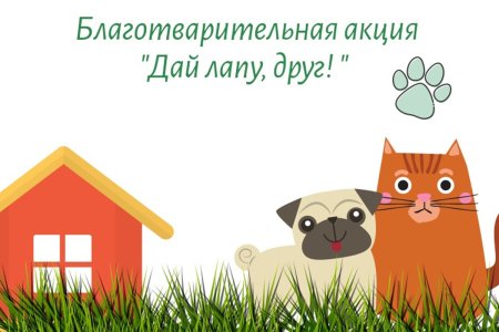 Сбор помощи приюту для животных