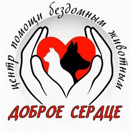 Благотворительная акция доброе сердце