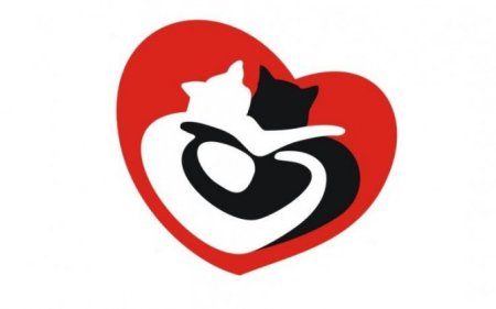 Организация помощи животным