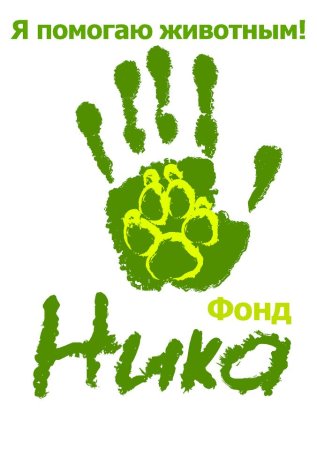 Благотворительный фонд животных