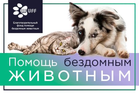 Фонд бездомных животных