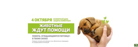 Защита животных