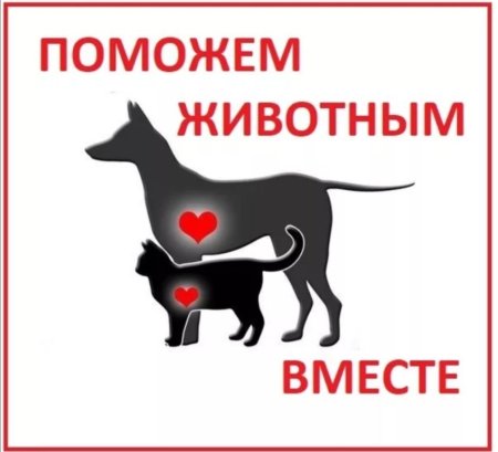 Помощь животным