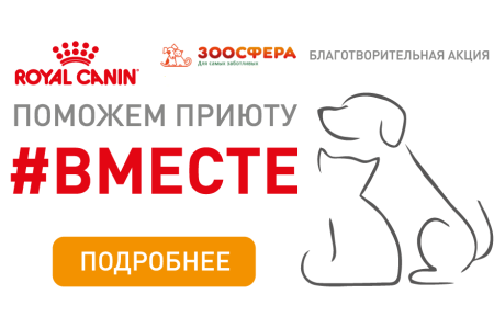 Поможем животным вместе