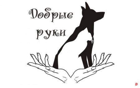 Защита животных