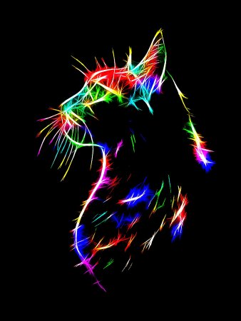 Неоновая кошечка