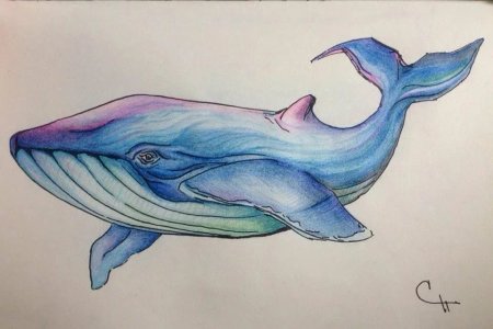 Нарисовать кита