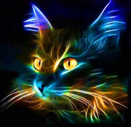Неоновый кот алмазная мозаика