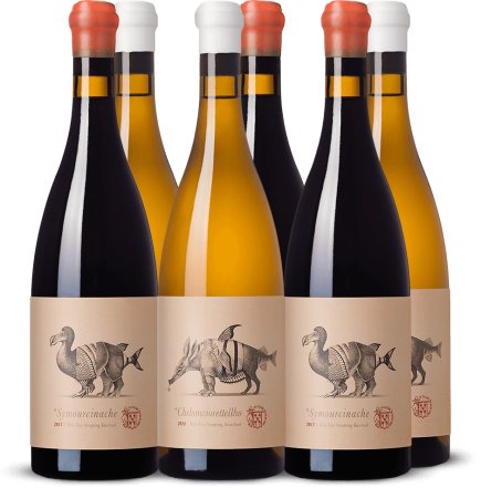 Вино этикетка