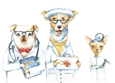 Животные доктора