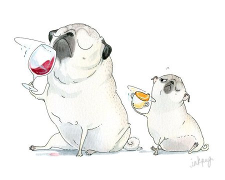 Мопсы рисунки смешные