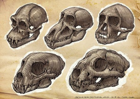 Концепт арты черепов животных