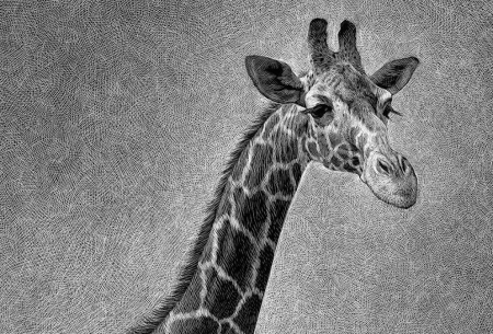 Жираф арт