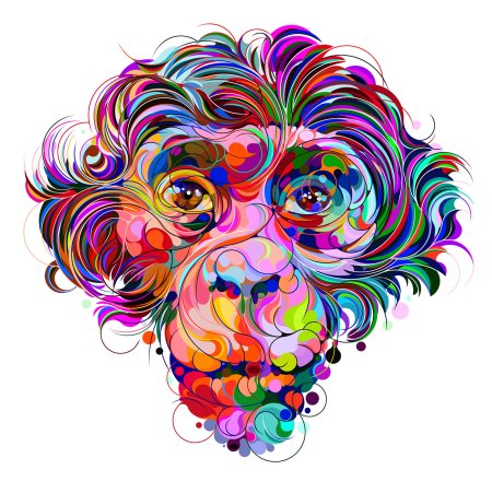 Ваю Ромдони художник