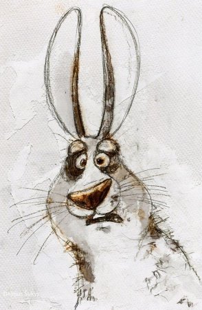 Художник-иллюстратор Дайнюс Шукис