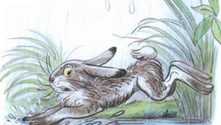 Под грибом Сутеева заяц