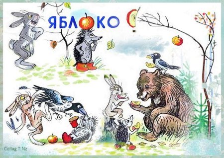Иллюстрации к сказке Сутеева яблоко для детей