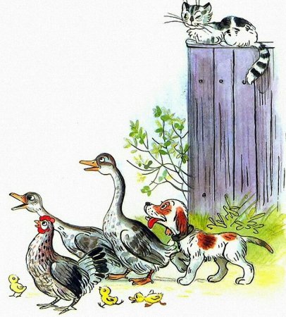 Владимир Сутеев иллюстрации