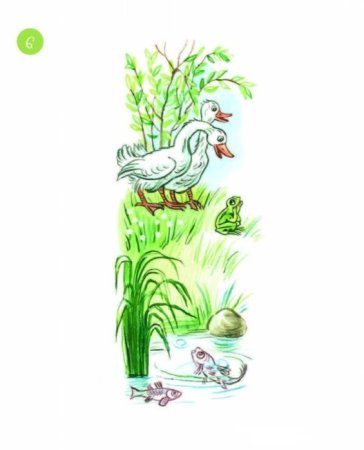 Сутеев иллюстрации к сказкам